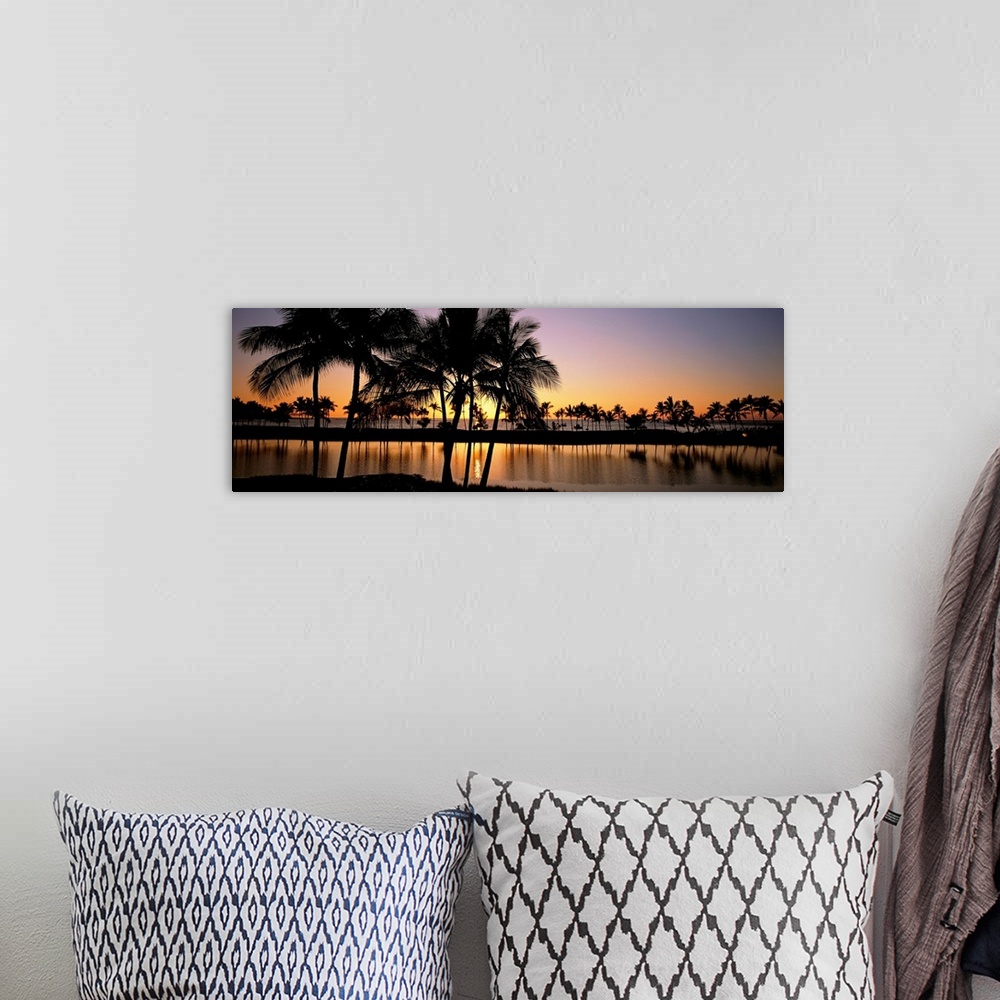 A bohemian room featuring Panoramic photograph taken of a colorful sunset where the silhouette of the palm trees and landsc...