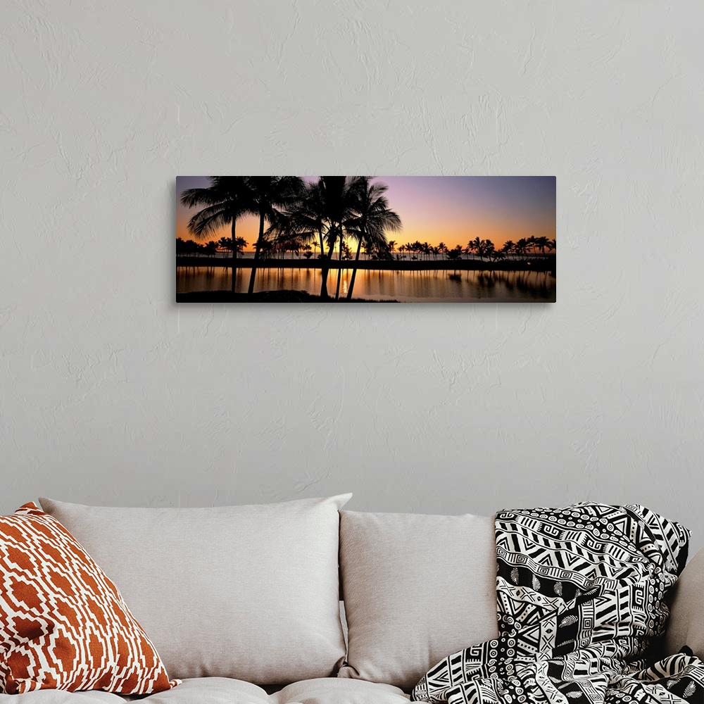 A bohemian room featuring Panoramic photograph taken of a colorful sunset where the silhouette of the palm trees and landsc...