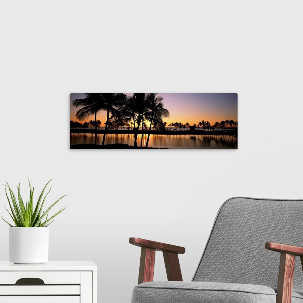 A modern room featuring Panoramic photograph taken of a colorful sunset where the silhouette of the palm trees and landsc...