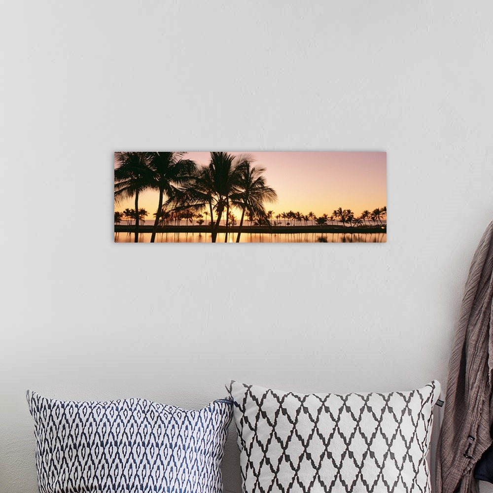 A bohemian room featuring Panoramic photograph taken as the sun begins to set over a landscape filled with palm trees refle...