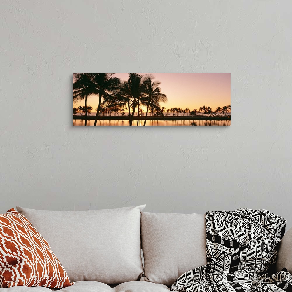 A bohemian room featuring Panoramic photograph taken as the sun begins to set over a landscape filled with palm trees refle...