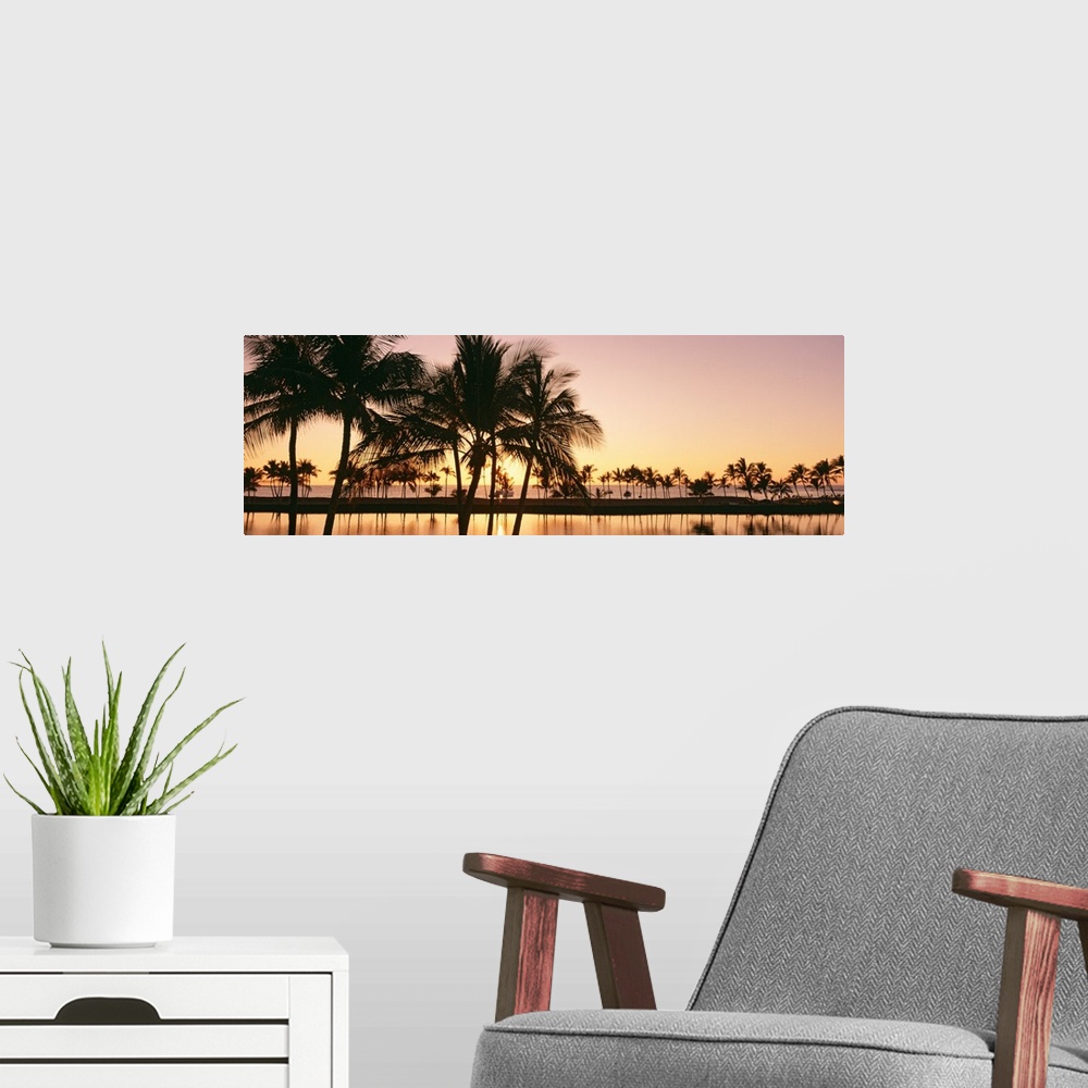 A modern room featuring Panoramic photograph taken as the sun begins to set over a landscape filled with palm trees refle...