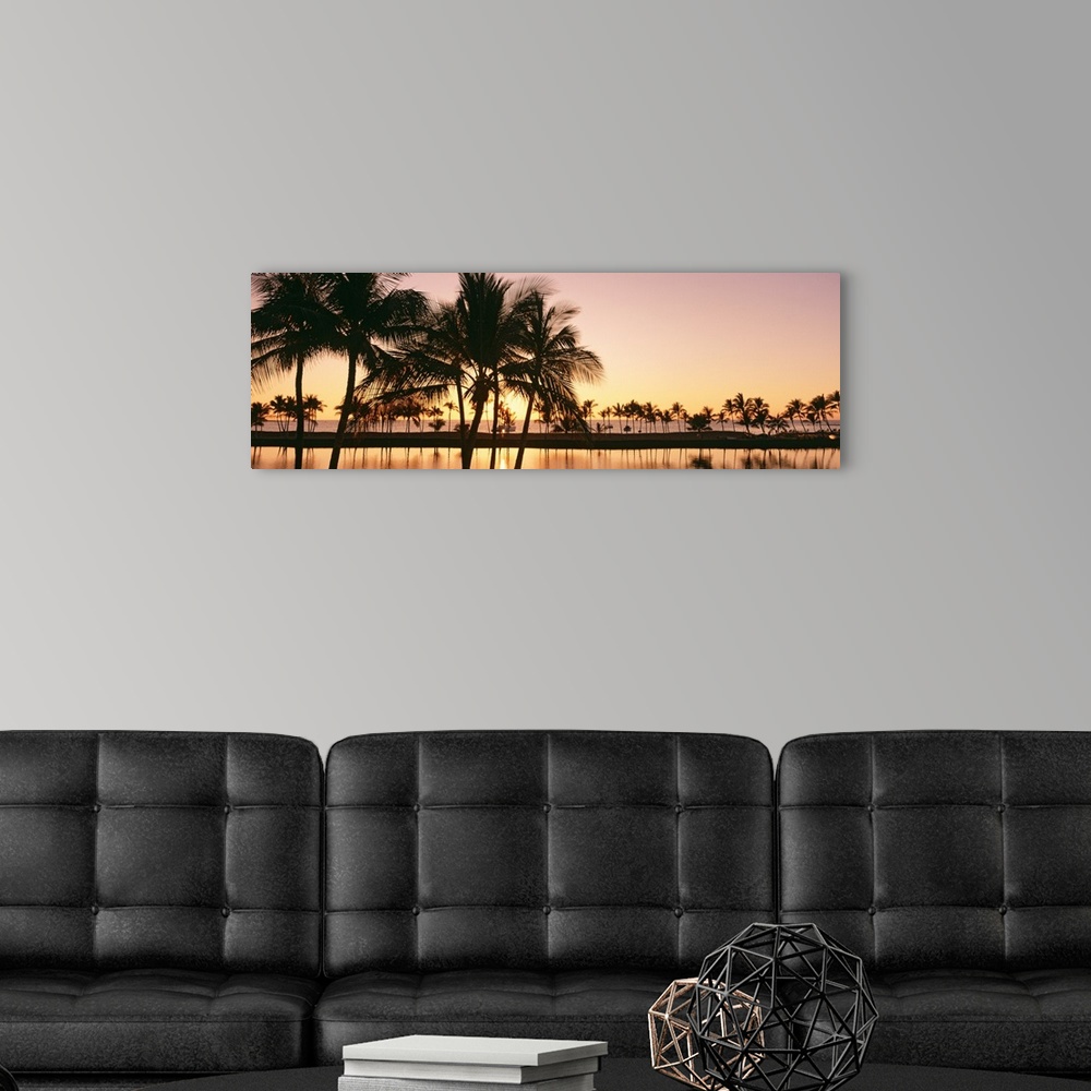 A modern room featuring Panoramic photograph taken as the sun begins to set over a landscape filled with palm trees refle...
