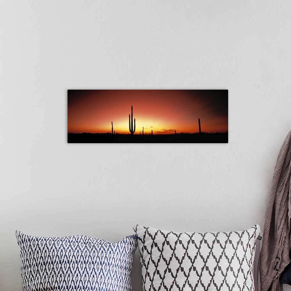 A bohemian room featuring Panoramic photograph of cacti silhouettes in desert at dusk.