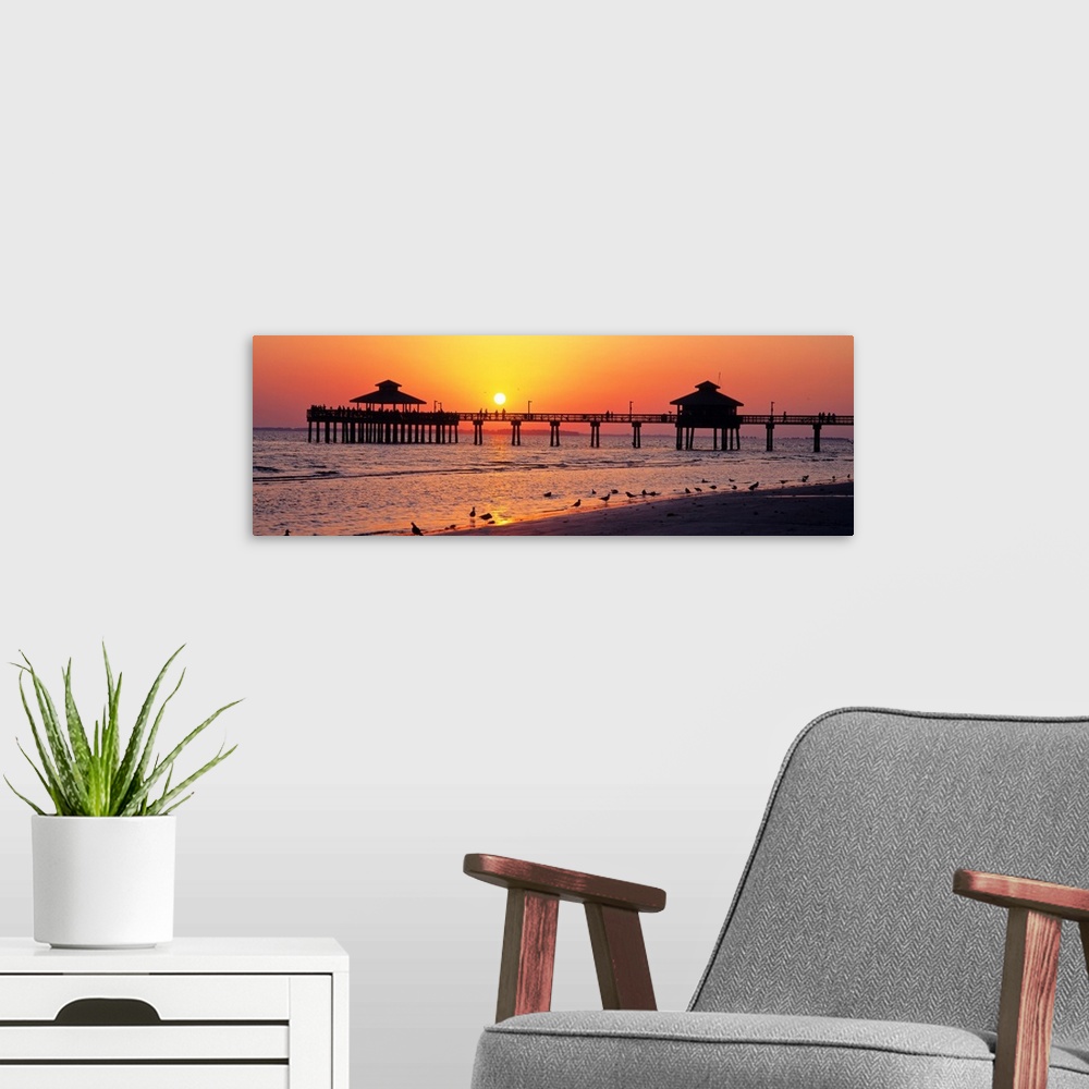 A modern room featuring Pier and board walk with shore birds gathered in the foreground as the sun sinks in the sky.