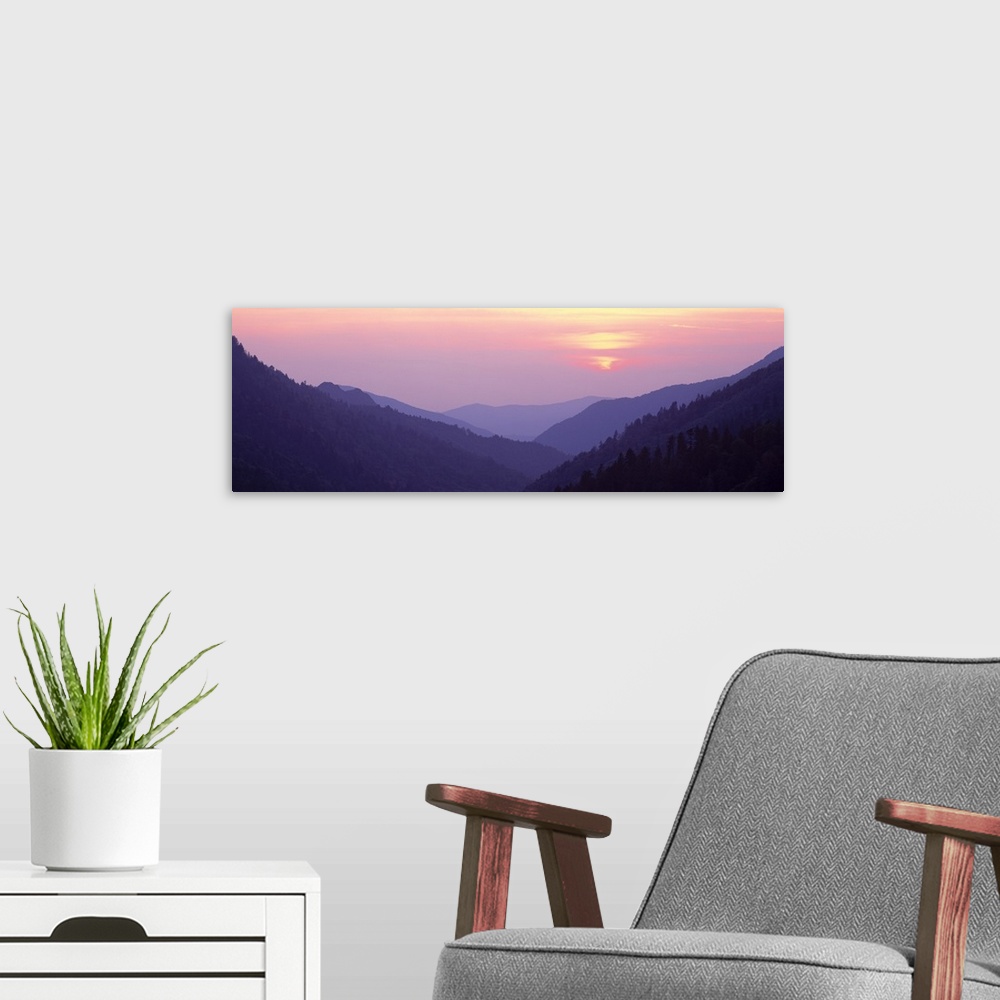 A modern room featuring Panoramic photo of rolling mountains in the fog at sunset.