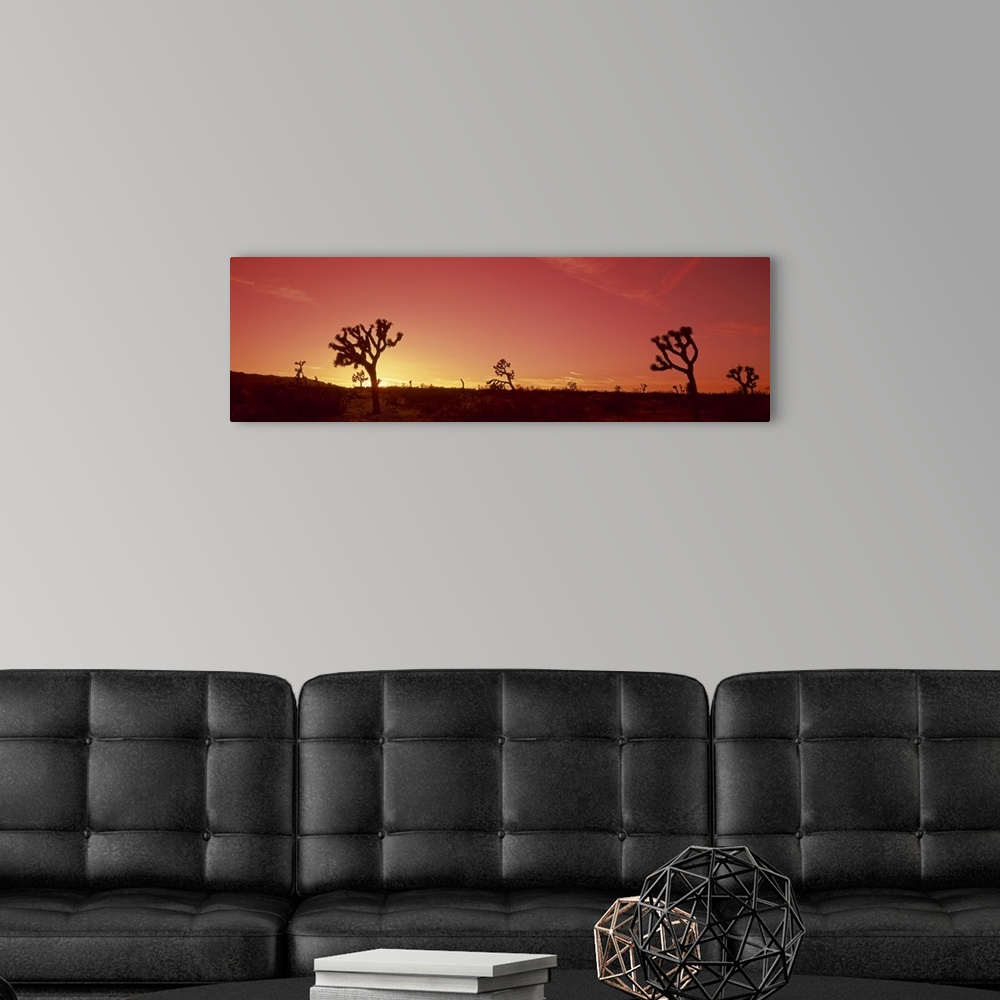 A modern room featuring Sunset Joshua Tree CA