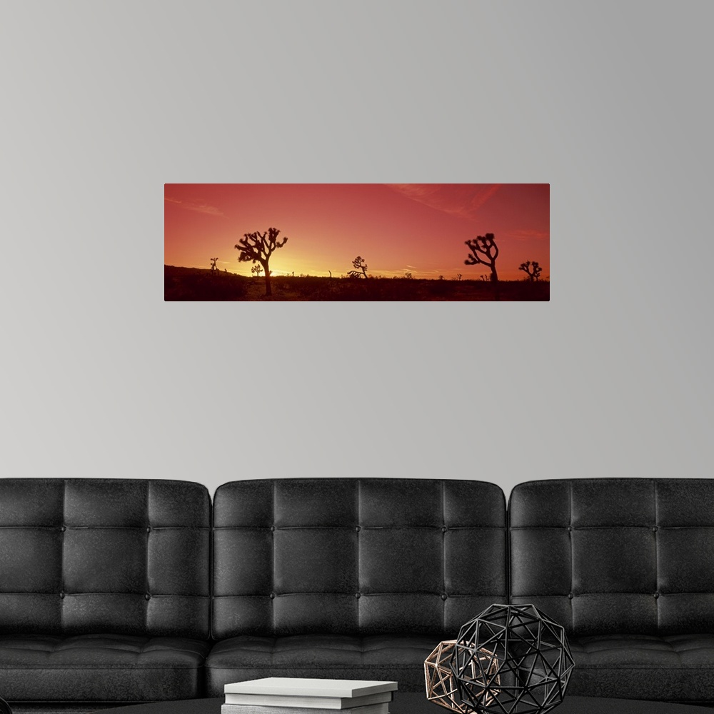 A modern room featuring Sunset Joshua Tree CA