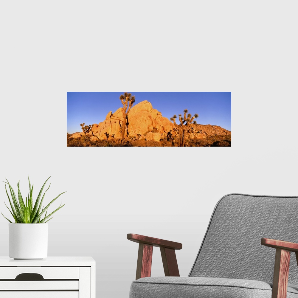 A modern room featuring Sunset, Joshua Tree National Park, California
