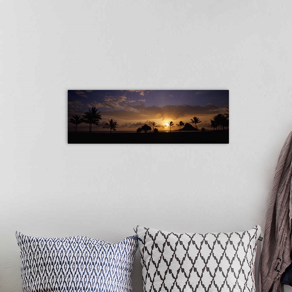 A bohemian room featuring Panoramic photograph taken of a sunset in Hawaii with the land and palm trees silhouetted.