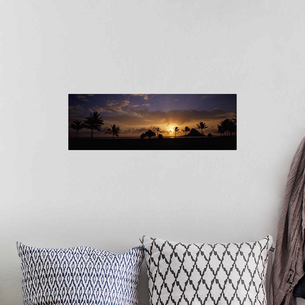 A bohemian room featuring Panoramic photograph taken of a sunset in Hawaii with the land and palm trees silhouetted.