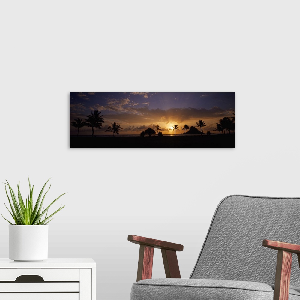 A modern room featuring Panoramic photograph taken of a sunset in Hawaii with the land and palm trees silhouetted.