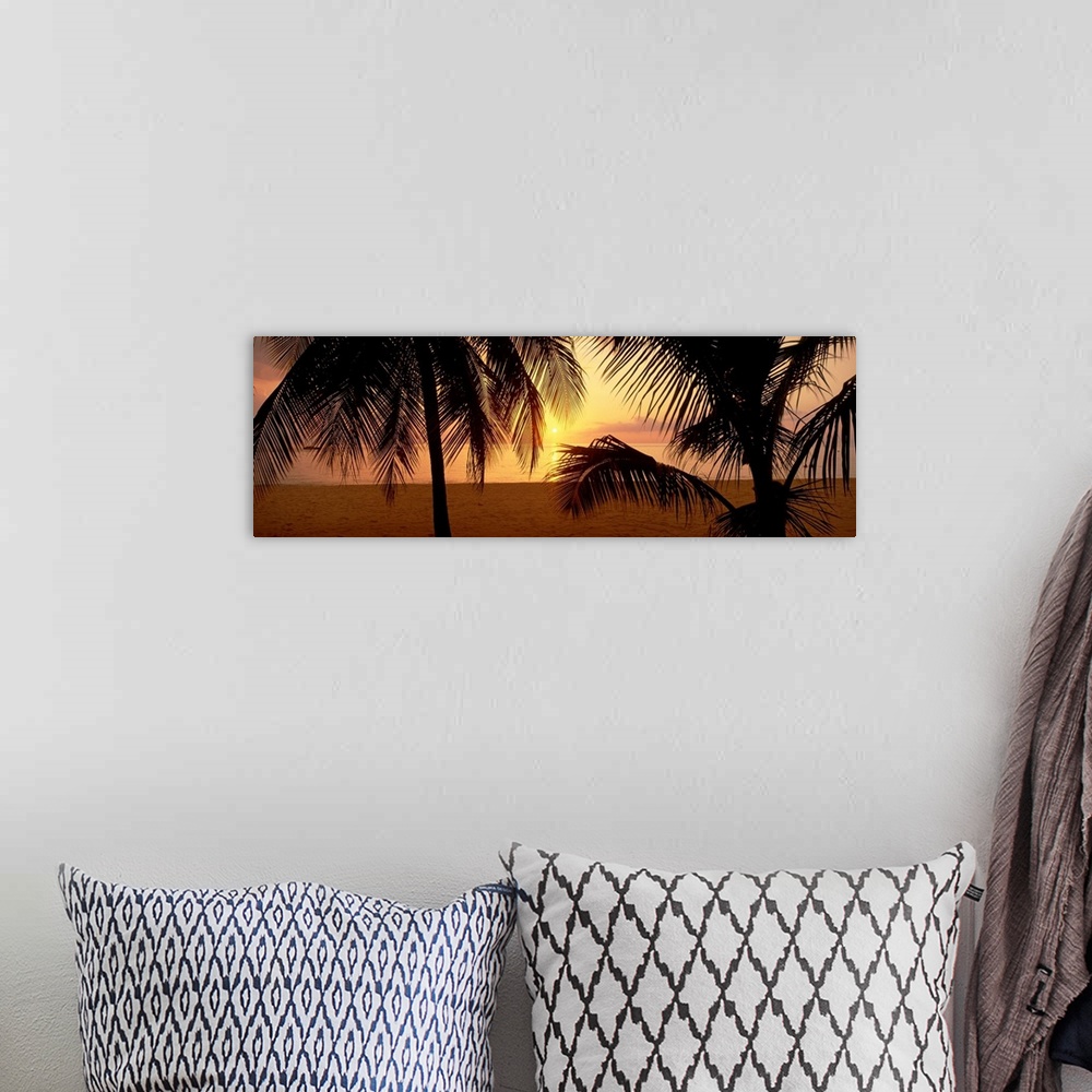 A bohemian room featuring Silhouettes of palm trees on a beach with the sun sinking below the horizon.
