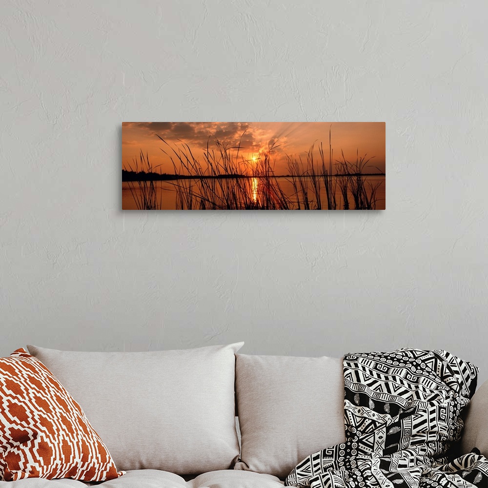 A bohemian room featuring Panoramic photograph of the sun setting over the horizon behind close up of reeds.