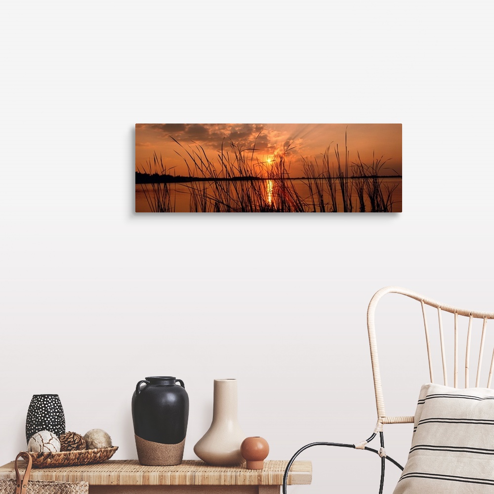 A farmhouse room featuring Panoramic photograph of the sun setting over the horizon behind close up of reeds.