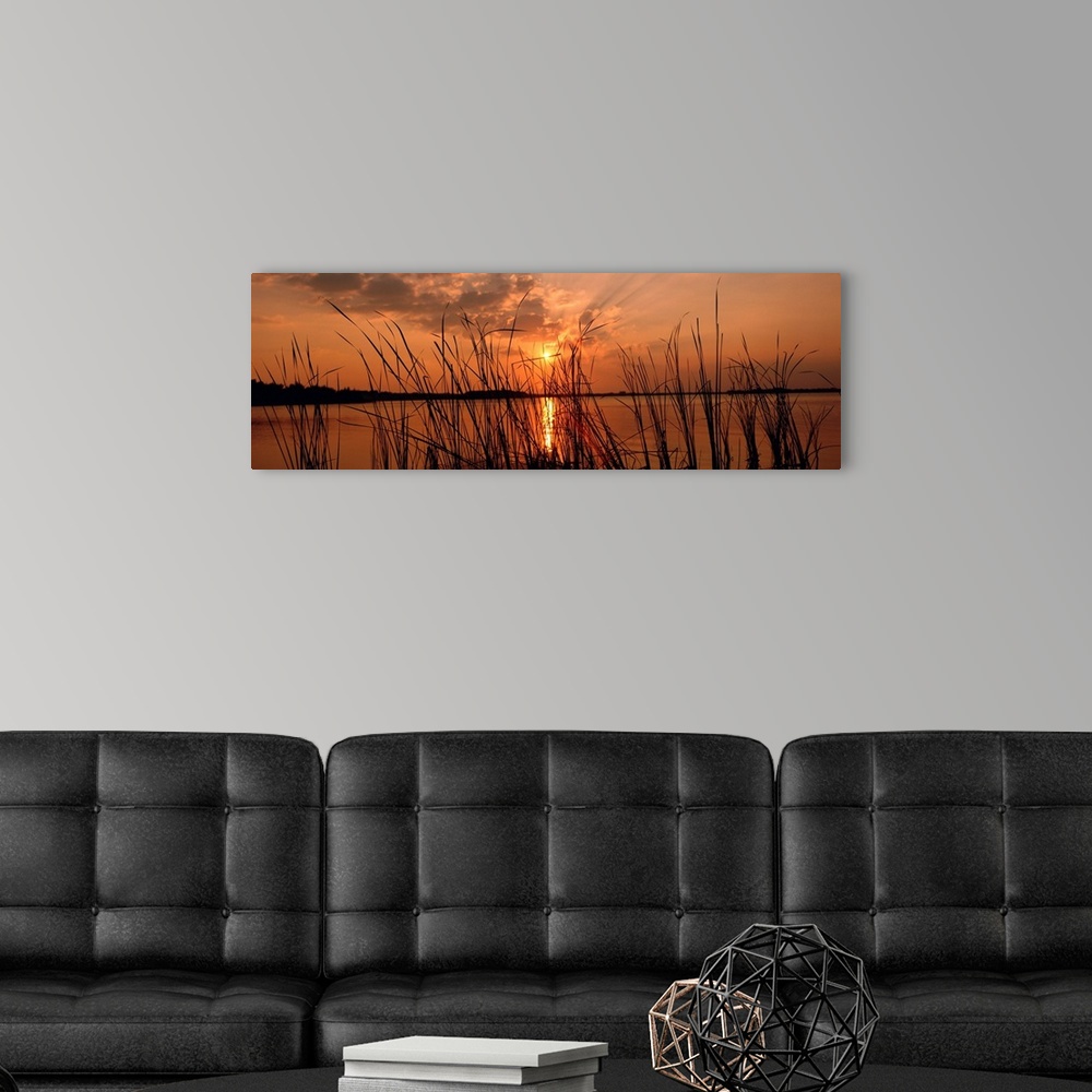 A modern room featuring Panoramic photograph of the sun setting over the horizon behind close up of reeds.
