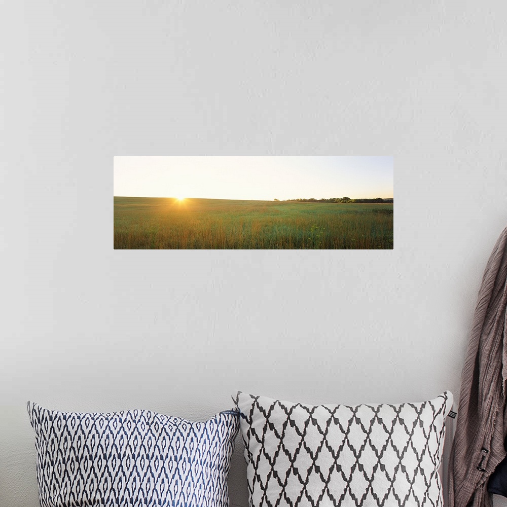 A bohemian room featuring Sunset over a landscape, Iowa County, Wisconsin,