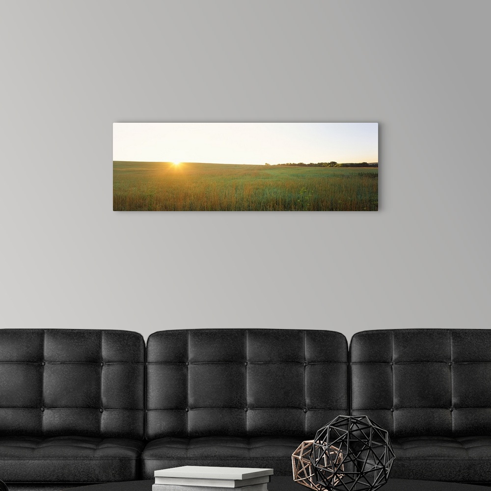 A modern room featuring Sunset over a landscape, Iowa County, Wisconsin,