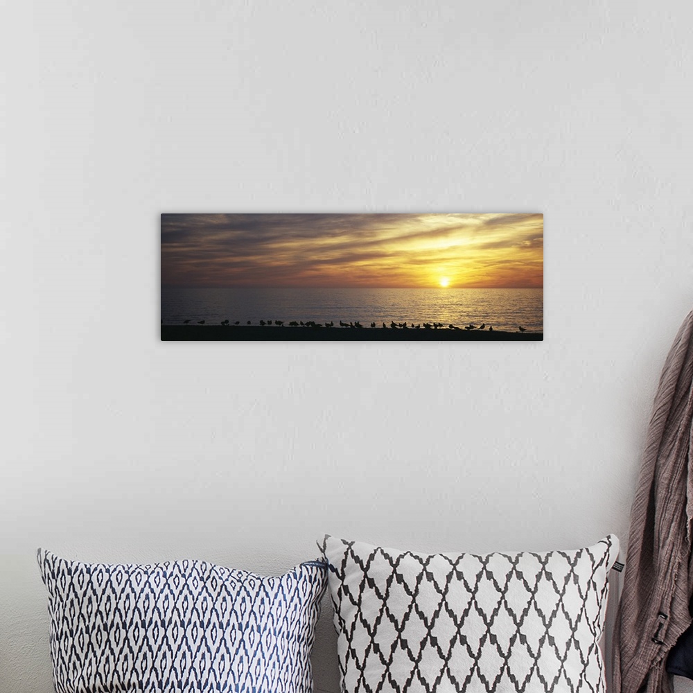 A bohemian room featuring Sunset over a sea, Gulf of Mexico, Venice Beach, Venice, Florida