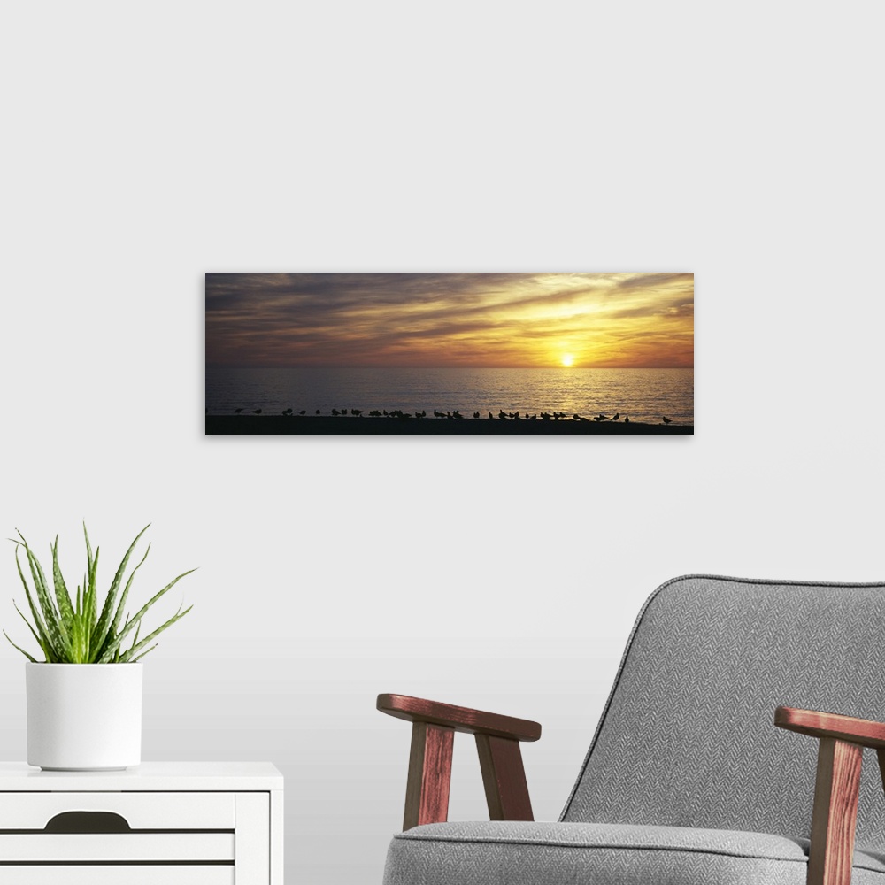 A modern room featuring Sunset over a sea, Gulf of Mexico, Venice Beach, Venice, Florida