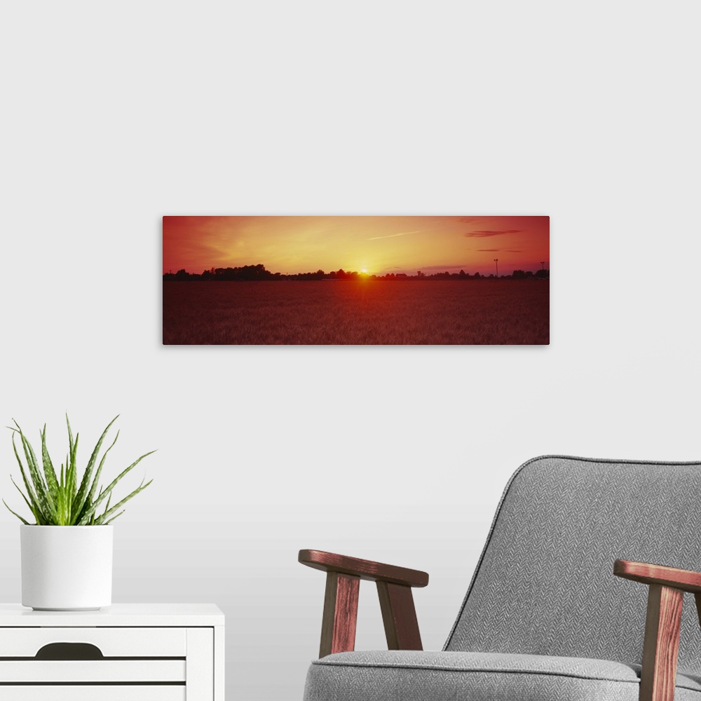 A modern room featuring Sunset over a wheat field, Wood County, Ohio