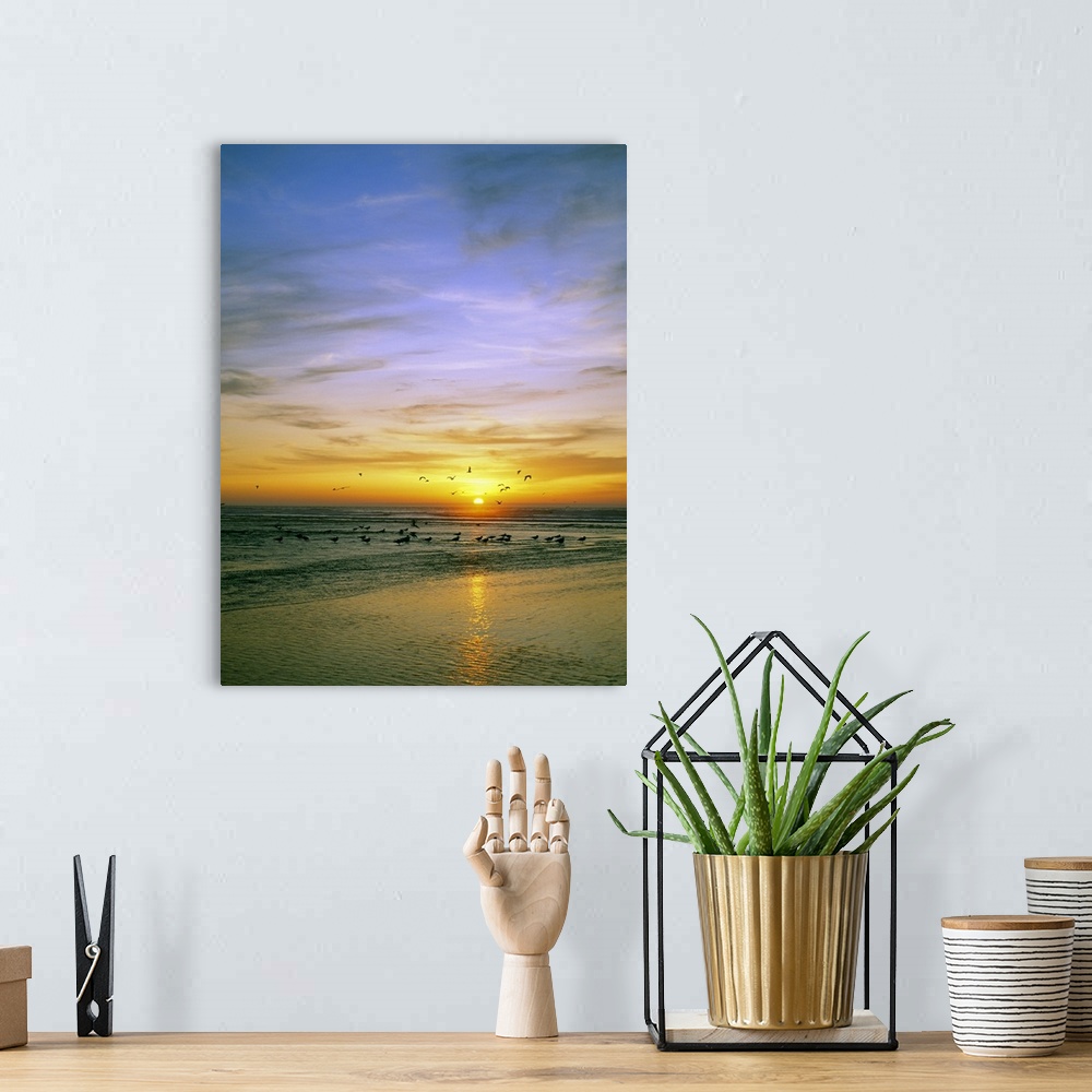 A bohemian room featuring Giant, vertical photograph of a vibrant sunset circled by a flock of birds, some that have landed...