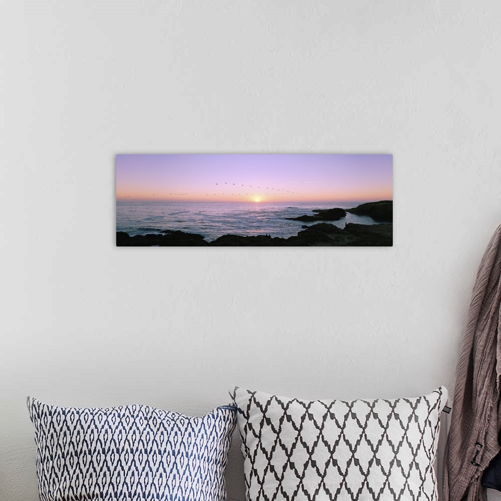 A bohemian room featuring Sunset over the ocean with flock of birds, Mendocino, Mendocino County, California