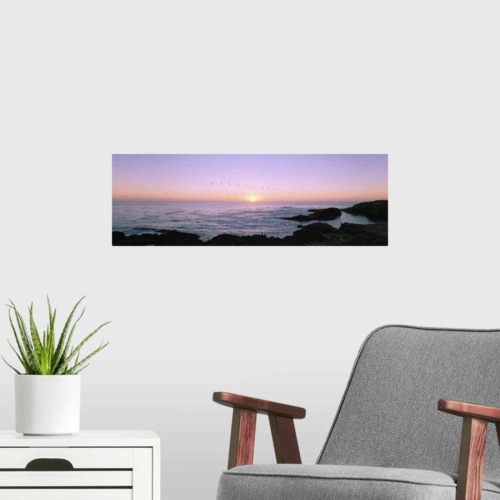 A modern room featuring Sunset over the ocean with flock of birds, Mendocino, Mendocino County, California