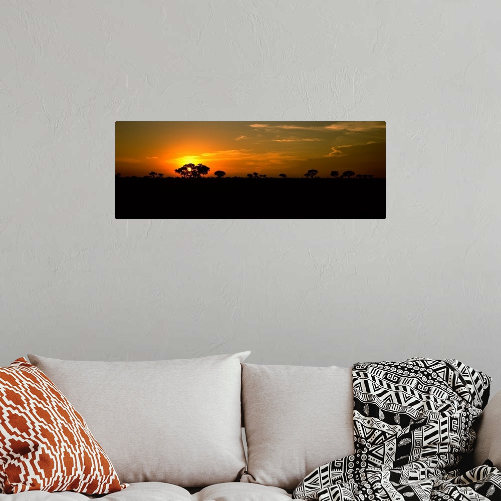 A bohemian room featuring Sunset over the savannah plains, Kruger National Park, South Africa