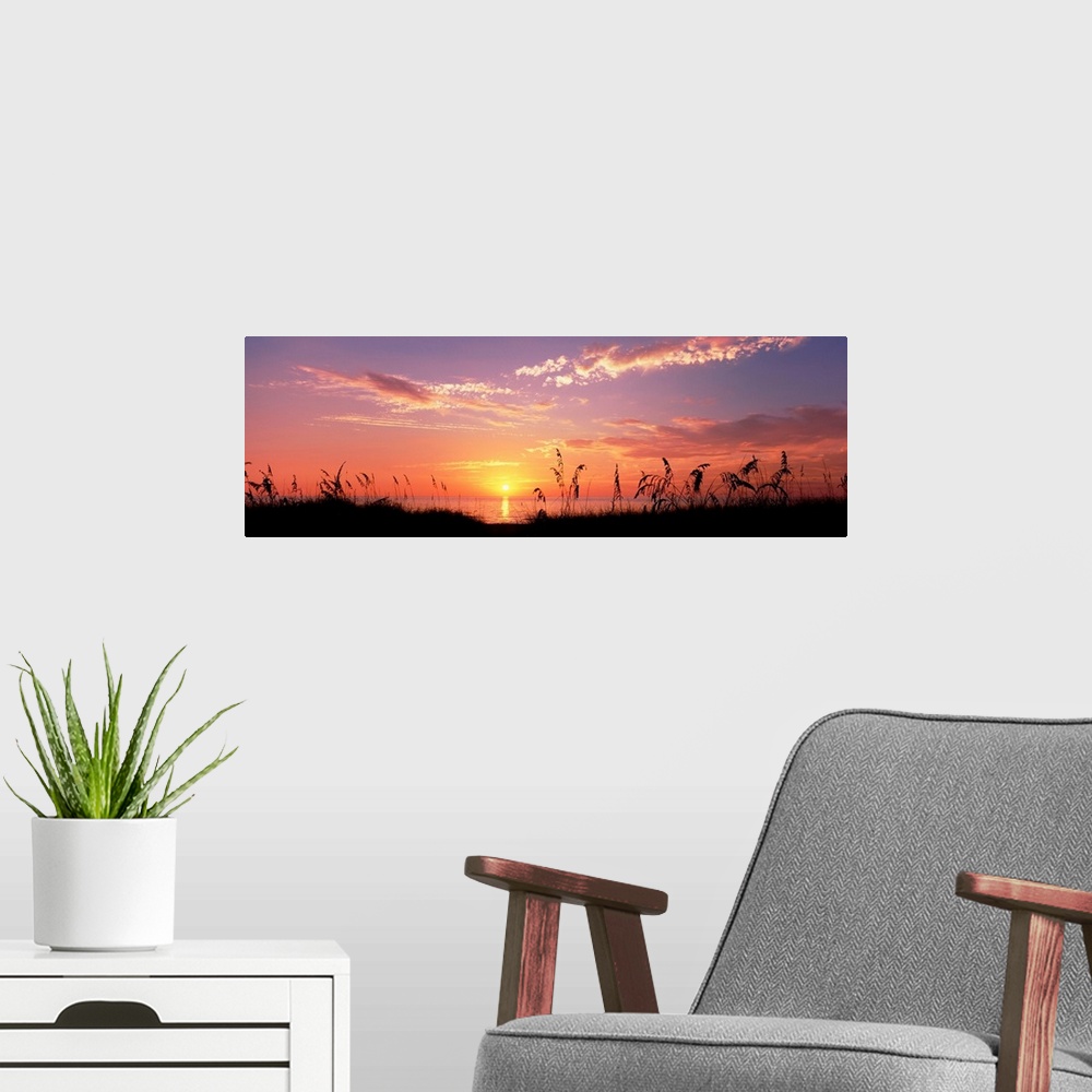 A modern room featuring This wall art is a panoramic photograph of silhouetted sea grass in front of a calm sea at the en...