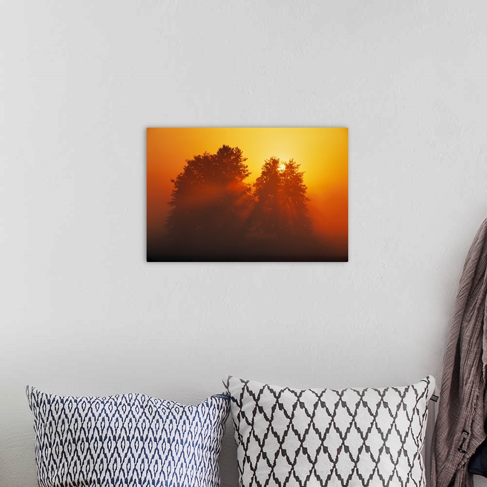 A bohemian room featuring Sunset over Trees