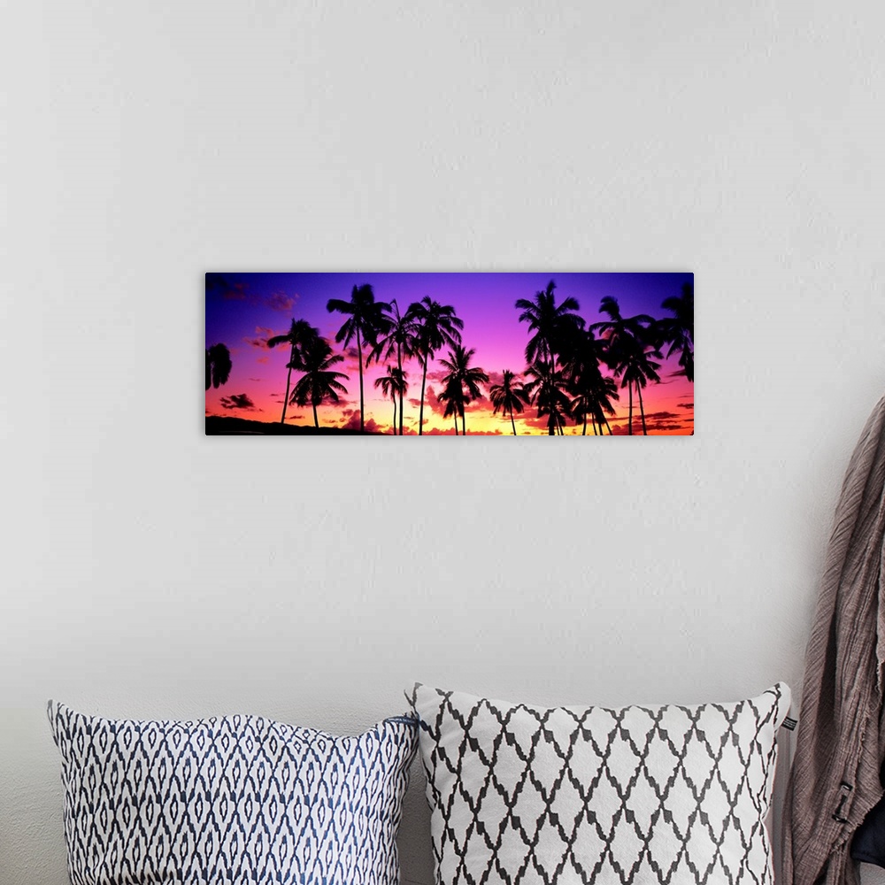 A bohemian room featuring Sunset Palm Trees Oahu HI