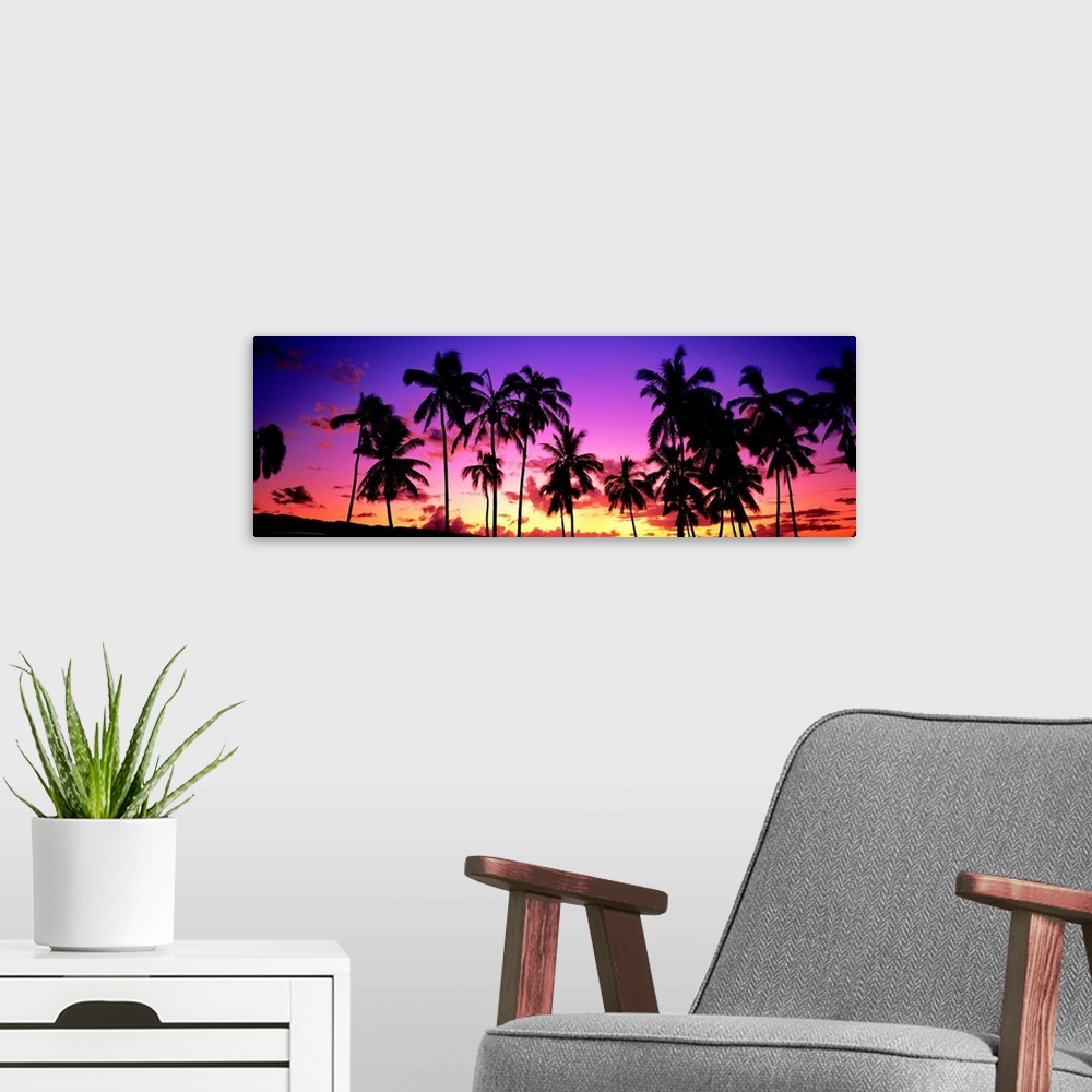 A modern room featuring Sunset Palm Trees Oahu HI