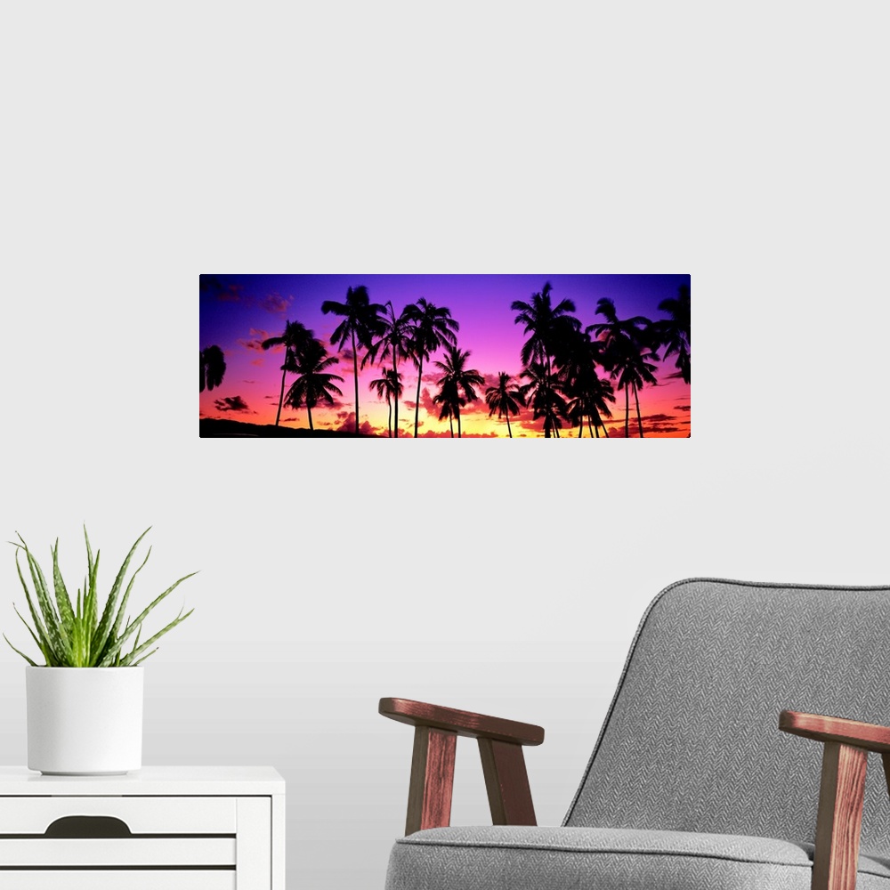 A modern room featuring Sunset Palm Trees Oahu HI