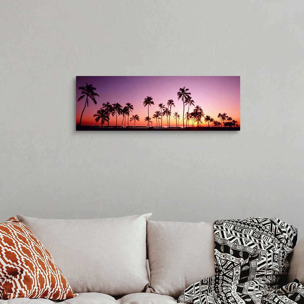 A bohemian room featuring This panoramic photograph shows several silhouettes of trees clustered around the shoreline of th...