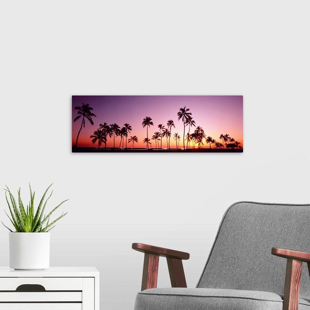 A modern room featuring This panoramic photograph shows several silhouettes of trees clustered around the shoreline of th...