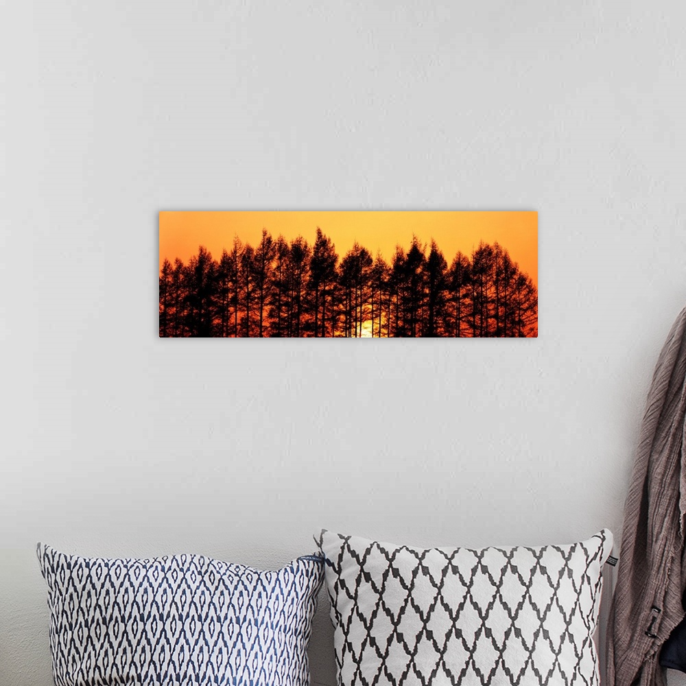 A bohemian room featuring Sunset & Pines Hokkaido Japan