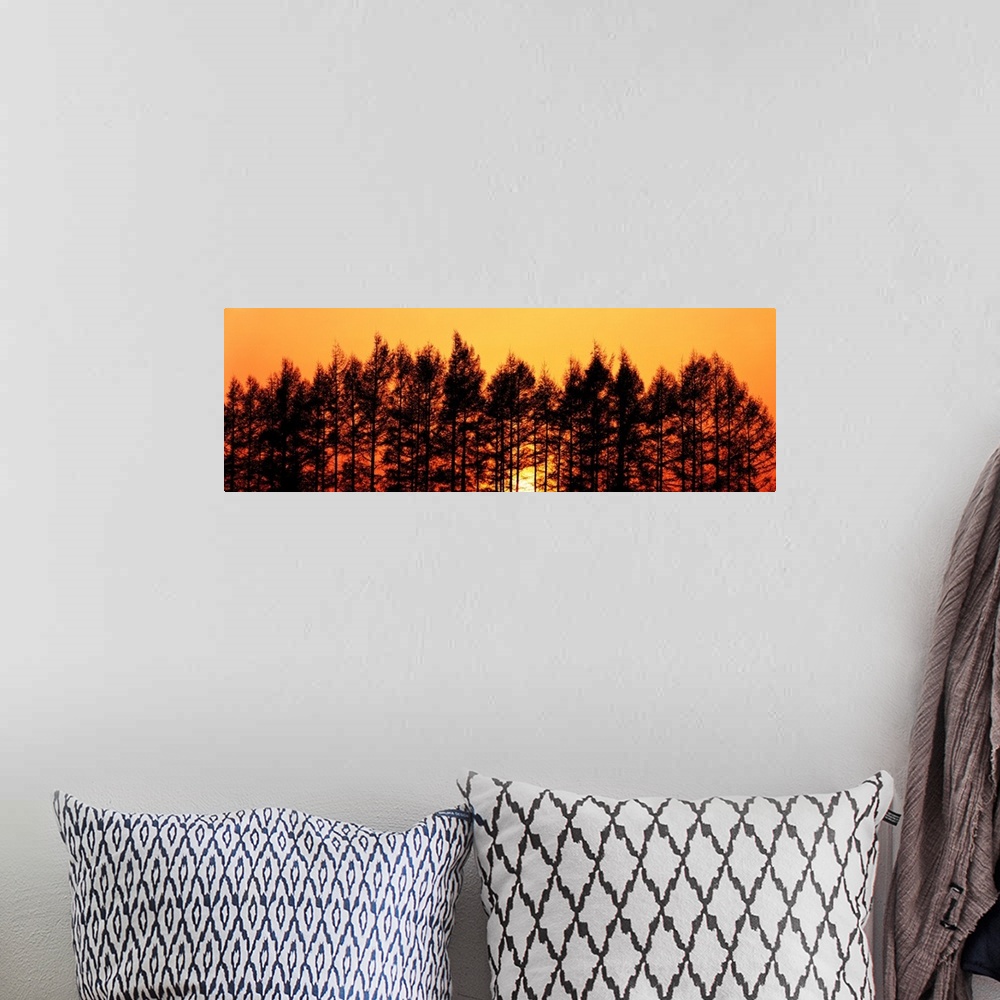 A bohemian room featuring Sunset & Pines Hokkaido Japan
