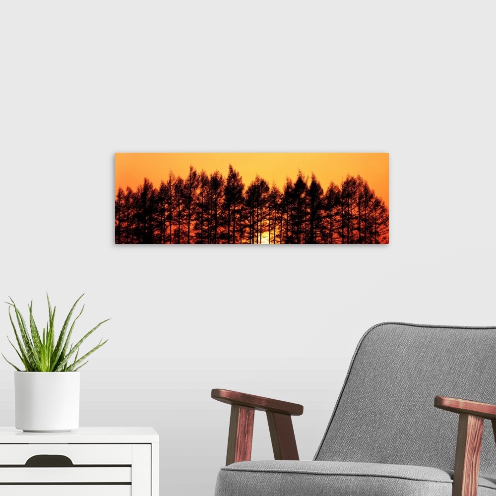 A modern room featuring Sunset & Pines Hokkaido Japan