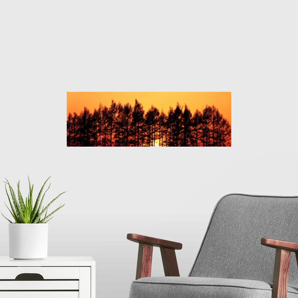 A modern room featuring Sunset & Pines Hokkaido Japan
