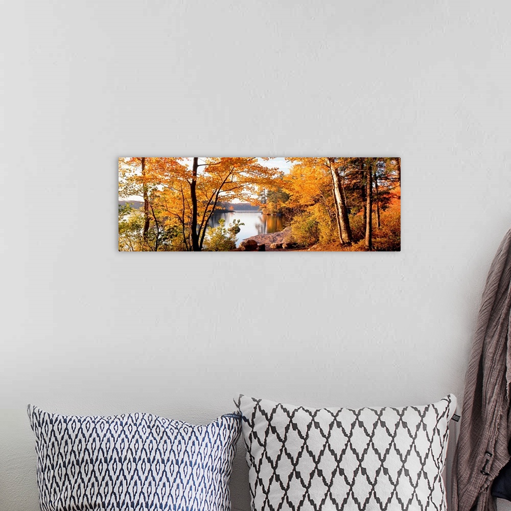 A bohemian room featuring Fall foliage frames a panoramic landscape of a lake with calm smooth water.