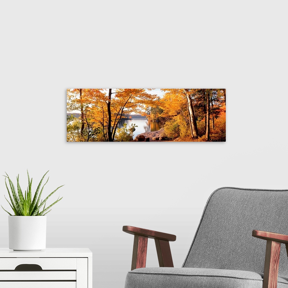 A modern room featuring Fall foliage frames a panoramic landscape of a lake with calm smooth water.