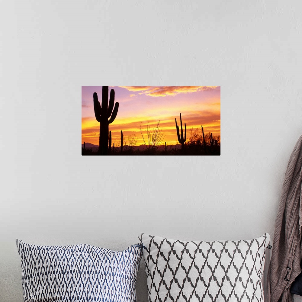A bohemian room featuring Cacti silhouetted against the evening sky and clouds.