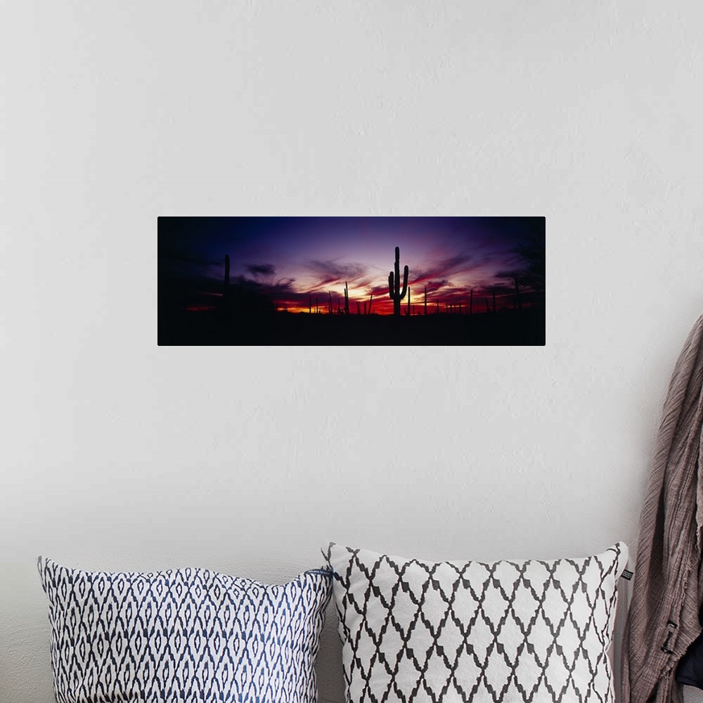 A bohemian room featuring Panoramic photograph taken of a sunset as it silhouettes the desert and cactus.