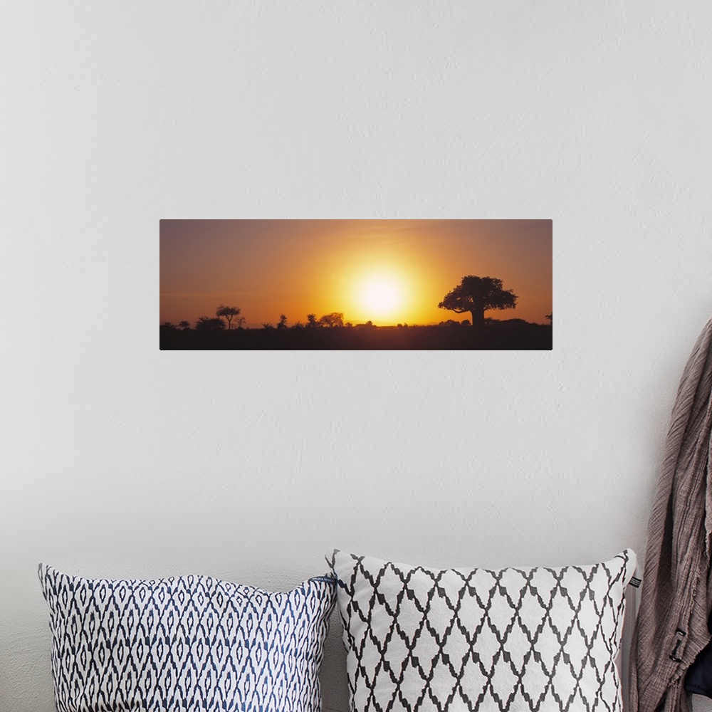 A bohemian room featuring Sunset Tarangire Tanzania Africa