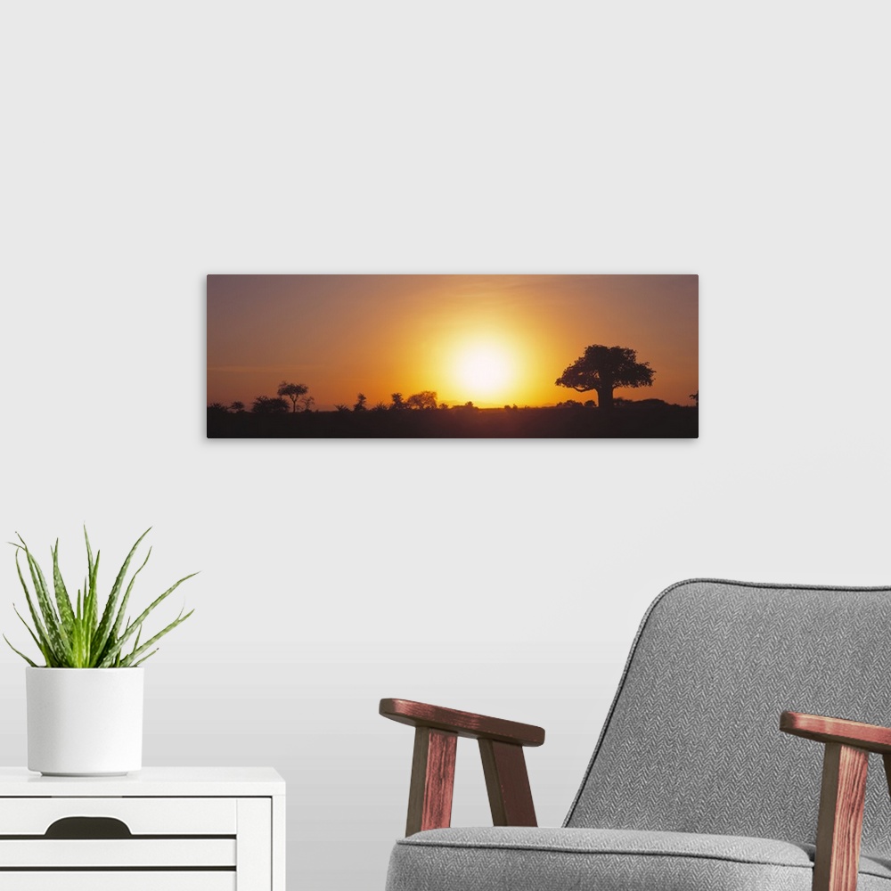 A modern room featuring Sunset Tarangire Tanzania Africa