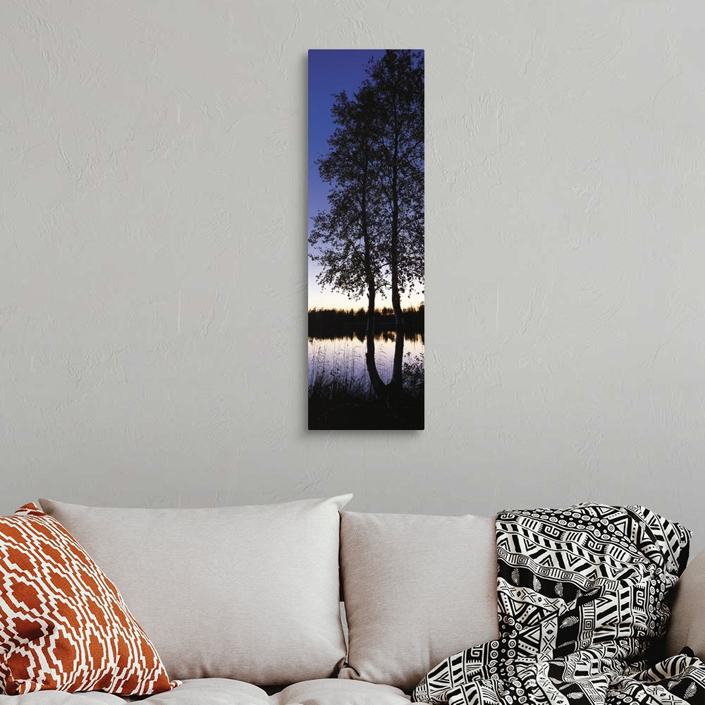 A bohemian room featuring Sunset Trees