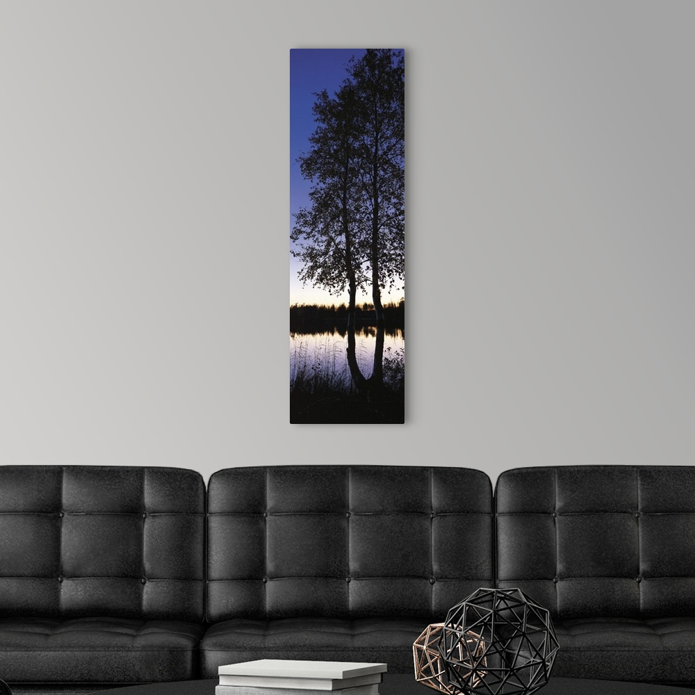 A modern room featuring Sunset Trees