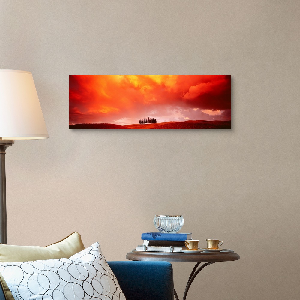 A traditional room featuring A cluster of a cypress trees grow on a hill in the rolling country side in this panoramic wall art.