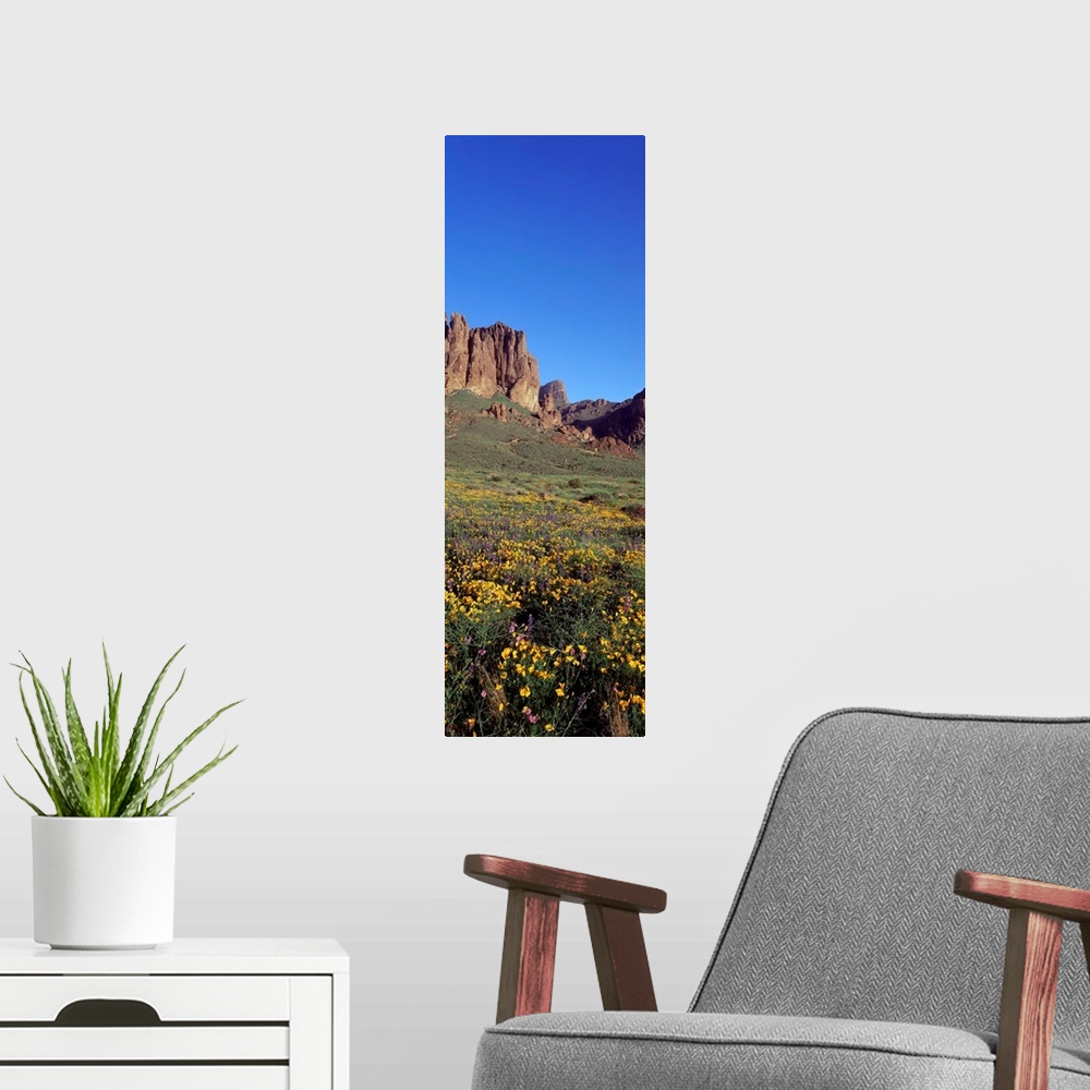 A modern room featuring Superstition Mountains Tonto National Forest AZ